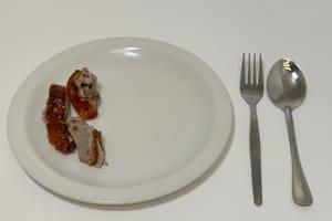 five spiced roast duck_as served (1)
