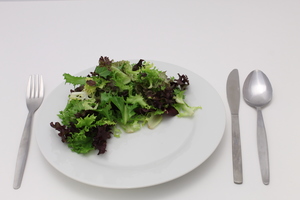 NDNS salad leaves