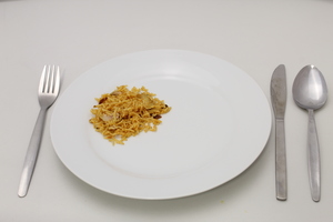 SAB Rice dish with meat/ soya (leftovers)