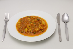 SAB newvegcurryx