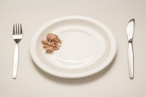 Canned fish (leftovers)