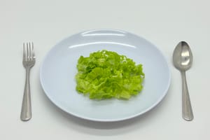 ID_Lettuce_fresh