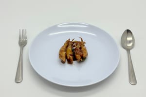 ID_Squid_stirfried_set1