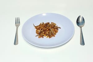 ID_Tempeh_anchovy_fried