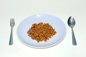 ID_Tempeh(Oreg)_fried
